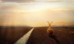 高转化率的信息流广告落地页长啥样?2张图帮你分析到位!-信息流广告学习博客