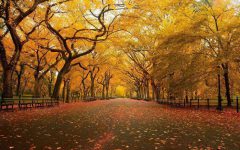 两大方向,全面盘点今日头条信息流广告的玩法-信息流广告学习博客