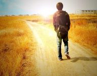 信息流广告、搜索引擎、内容全面开战,你看好谁?-信息流广告学习博客