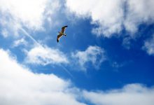 实例解析:百度信息流广告账户搭建步骤-信息流广告学习博客