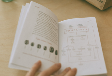 「市场营销方案」怎么写？掌握这个8个撰写方向，帮你轻松搞定！-信息流广告学习博客